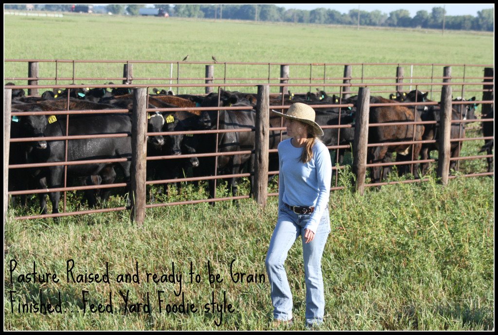 FarmTechStore tweet picture