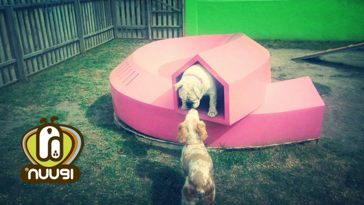Nuugi's tweet photo. Love is in the air!!! <3 #hayamor #Nuugi https://t.co/ZfwhoAcHhD