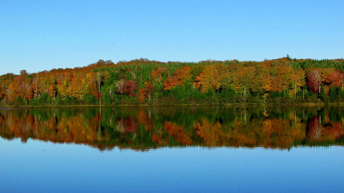 chronicleherald's tweet photo. Your pictures: Check out our growing collection of #FallinNS photos https://t.co/jzgGzPoB2f https://t.co/42EfmvjR45