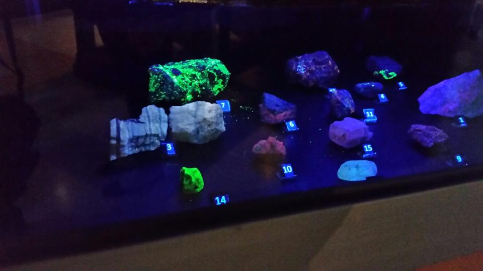 MPaleoCaldera's tweet photo. @museomedianoche  @municaldera  @turismocaldera @NoticiasUDA  Gracias por su linda visita... https://t.co/QxfVeh3gUz