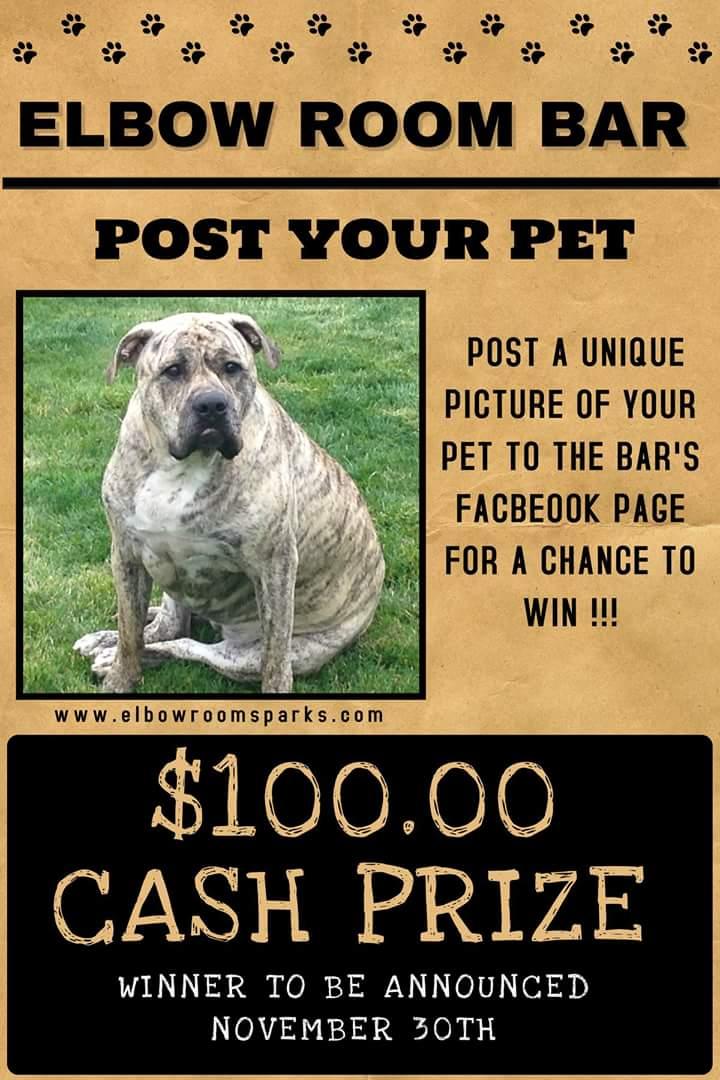 TheElbowRoomBar's tweet photo. Post unique pictures of your pet to our Facebook page win to gets $100 cash prize!
https://t.co/seUxCsEHkR https://t.co/07v5qqrxaj