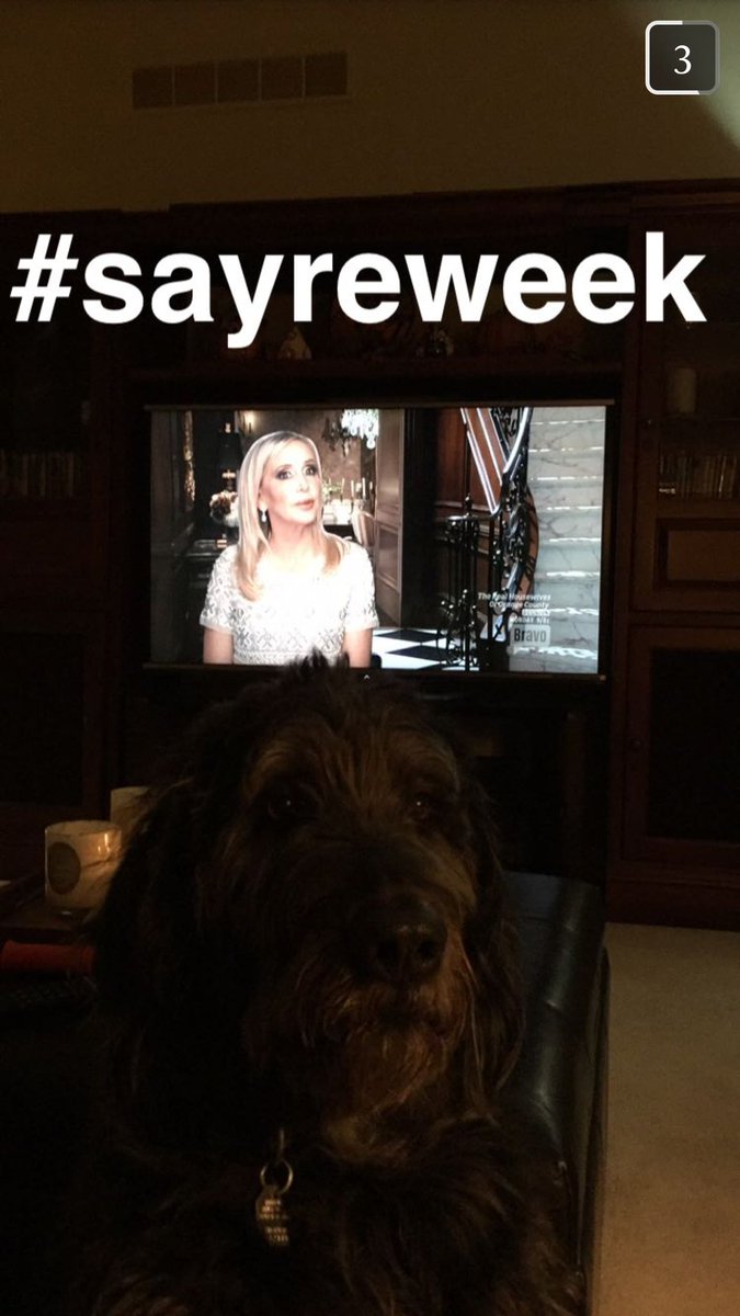 april_eh's tweet photo. I love that @JedeleSayre is participating in the week celebrating her beautiful self! She's so great at #sayreweek. https://t.co/e6ZWyXvM7j