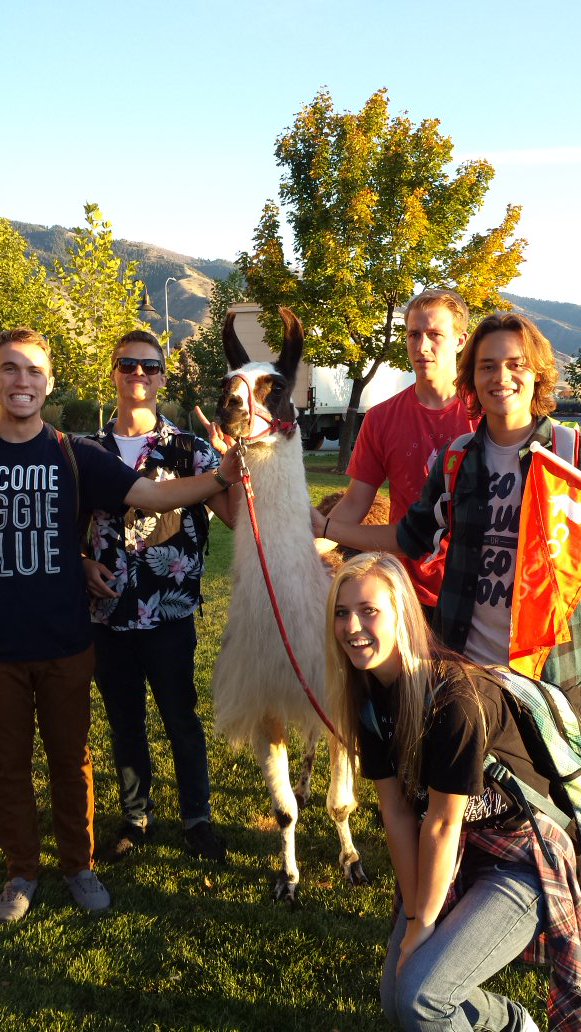 beersybeerski's tweet photo. The nobility   #usu #questival #hashslingingslashers https://t.co/qroq1fn7ut