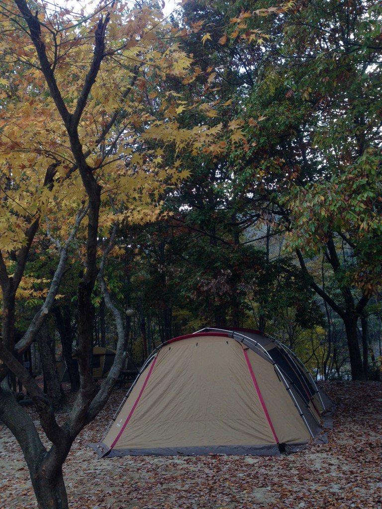 zzangddoly's tweet photo. #campingdang 미세먼지 피해 지리산 깊은 곳에 들어 왔습니다. https://t.co/6hjhSuDyq9