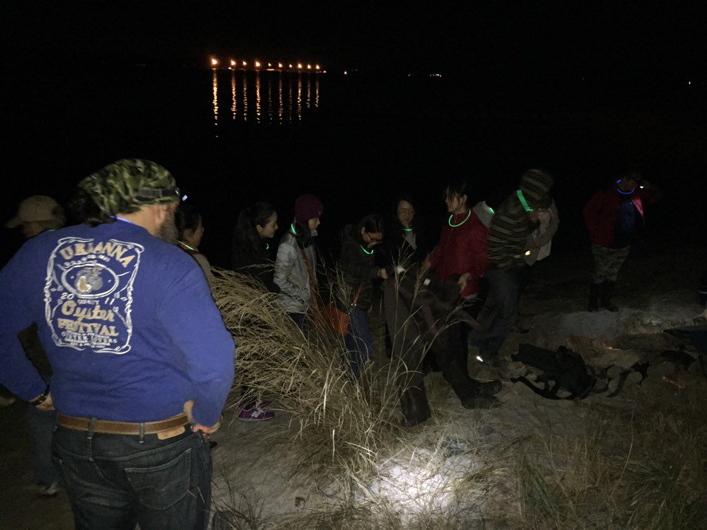VIMS_News's tweet photo. Time for some night seining at VIMS! #vasciencefest https://t.co/Yx55rMyXyC