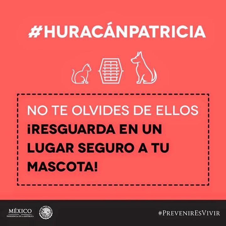 majomontemayor's tweet photo. Información útil. #HuracanPatricia https://t.co/7KcyNFheeW
