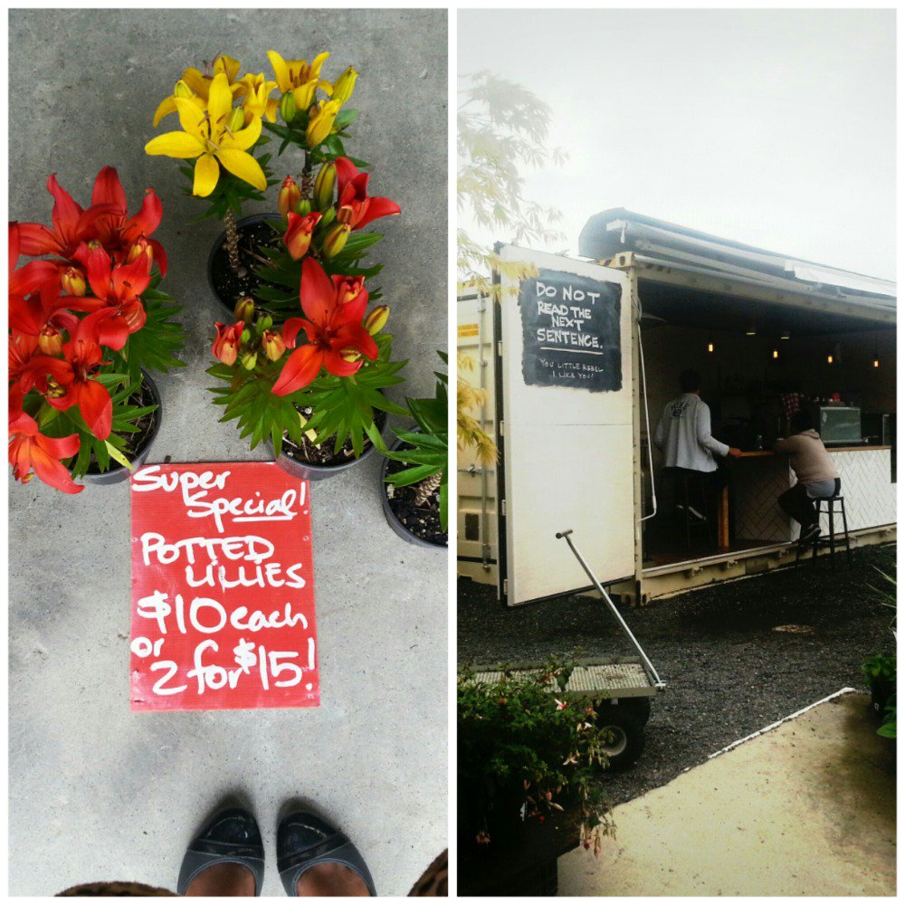 chamfy's tweet photo. Hidden gems of Kahikatea Drive. (#feetinframe for you @JessMolina @naomijorgenz) #lovethetron https://t.co/6G7h0W9Hvy