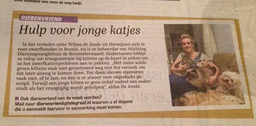 DeRavissante's tweet photo. Ik sta vandaag als Dierenvriend in de krant 😊 Was ik compleet vergeten. Leuk begin v d dag. https://t.co/Rifo4LxIWg