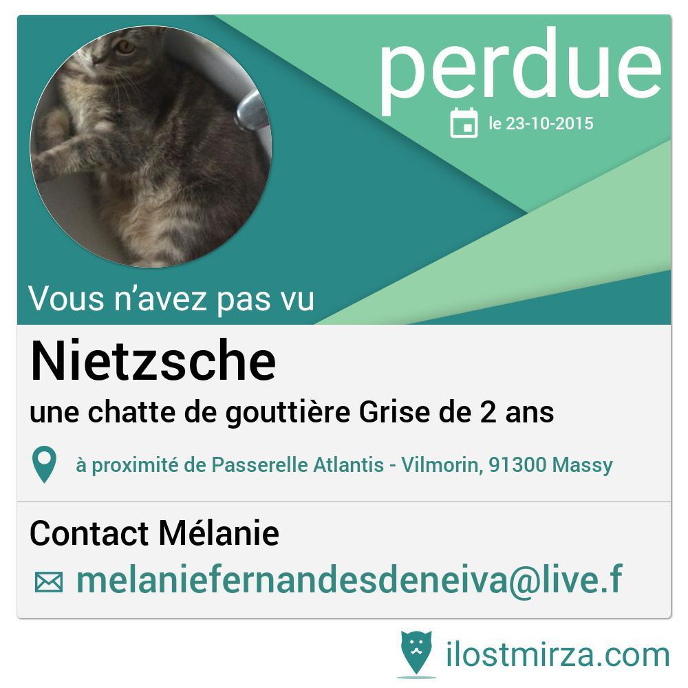 Vous pouvez aider Mélanie à retrouver son chat en diffusant cette annonce  ilostmirza.fr/display.php?id…