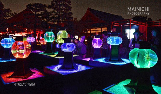 mainichiphoto's tweet photo. 世界遺産の二条城（京都市中京区）で「#アートアクアリウム城〜京都・金魚の舞〜」が始まりました。１２月１４日まで。幻想的な世界を写真特集 https://t.co/GTA1FgJgLk ７枚で。 https://t.co/JDunFQoORr