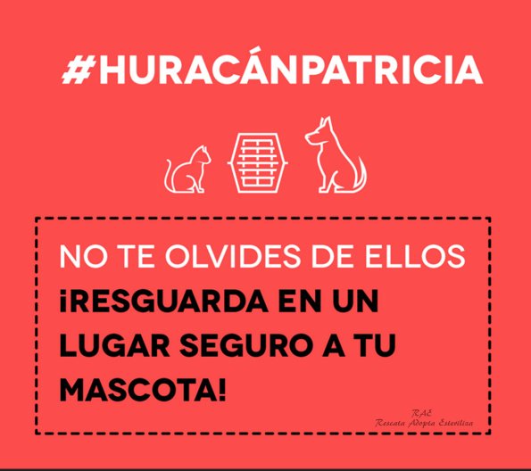 ScarGonRoss's tweet photo. NO olvidemos a los pequeños peludos por fa!#HuracánPatricia #PrevenirEsVivir @AdoptaMx @DefensaAnimal @_CALLEJERITO_ https://t.co/MAseWQ1LsQ