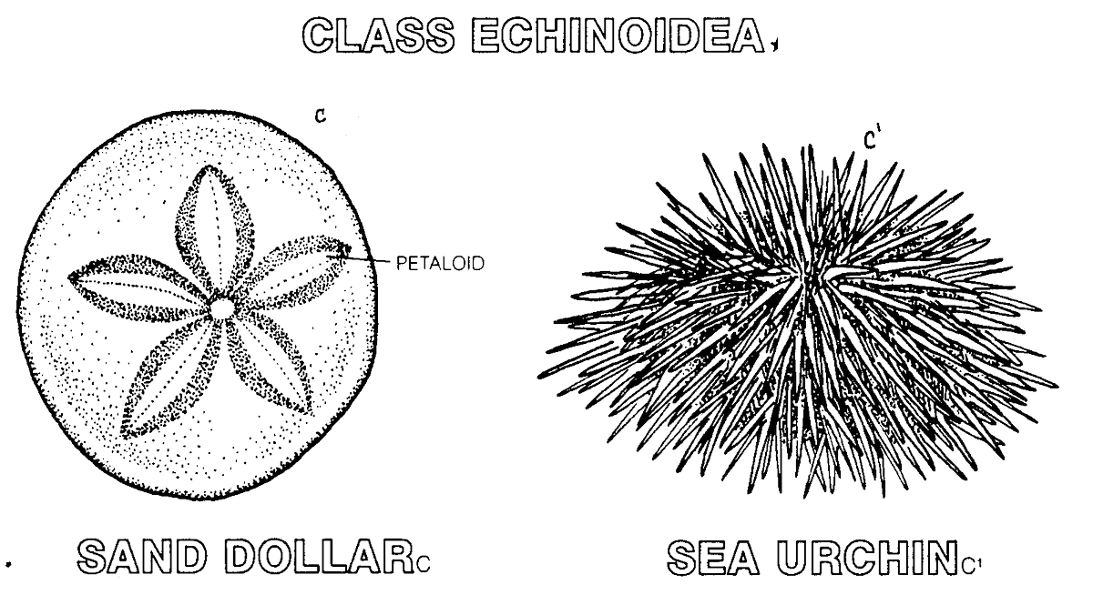 ThatOceanicBank's tweet image. My best friend ever!!!! #SameClass #SamePhylum