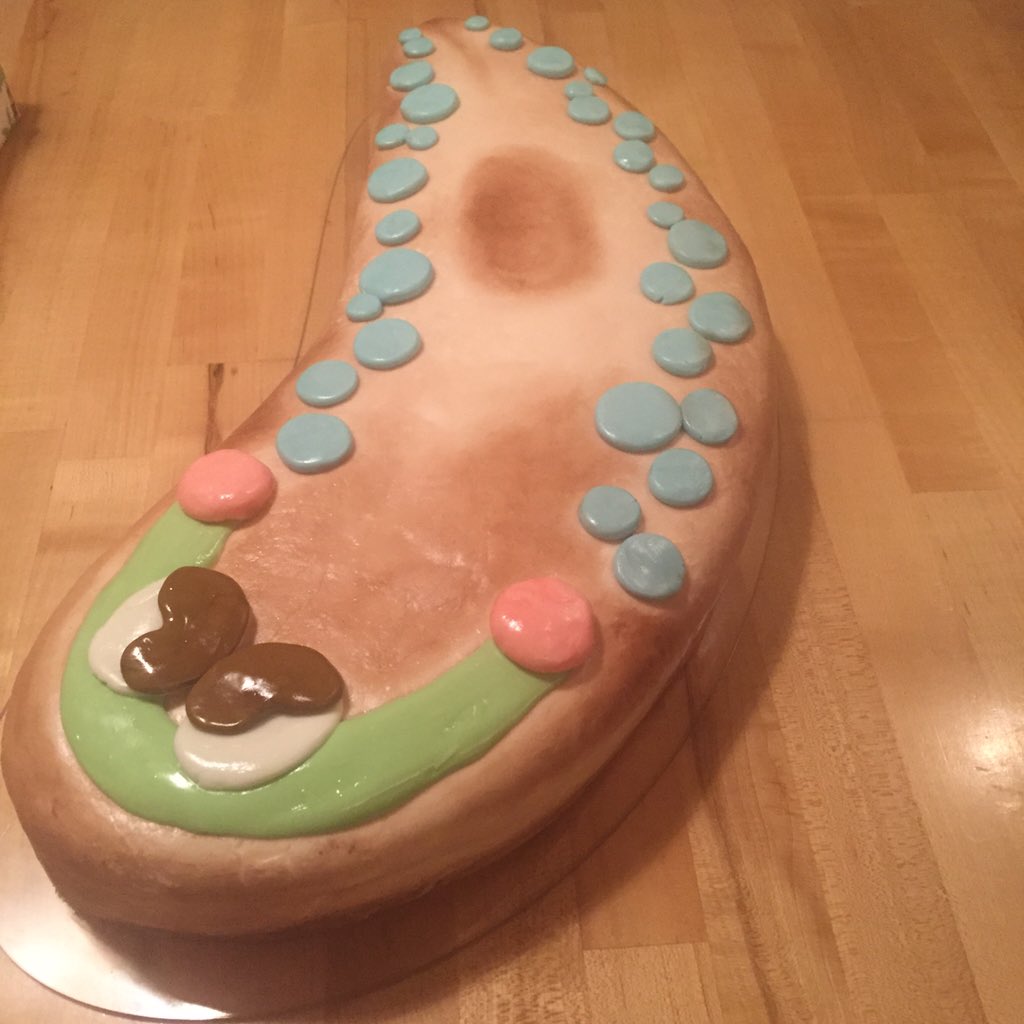 The Newmark Lab grad students will not go hungry again- thanks to the regenerating #planarian cake. Happy 50th Phil!