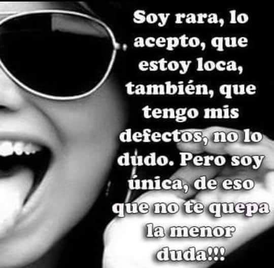 chiqui  T.R.E.P.H. tweet media