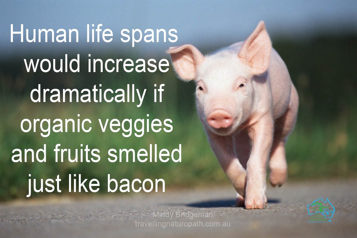 EarthBalanceAU's tweet photo. Human life spans would increase dramatically if organic veggies and fruits smelled just like bacon
#bacon #organic https://t.co/HPtWhm1acj