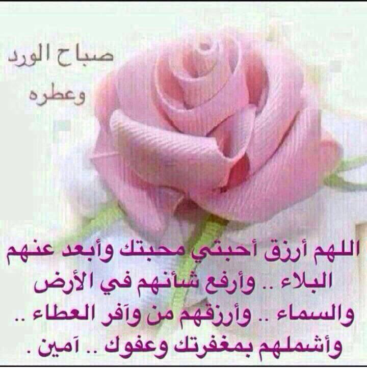 AsssfAss's tweet photo. صباحكم فل.... https://t.co/zu3DRgLsYl