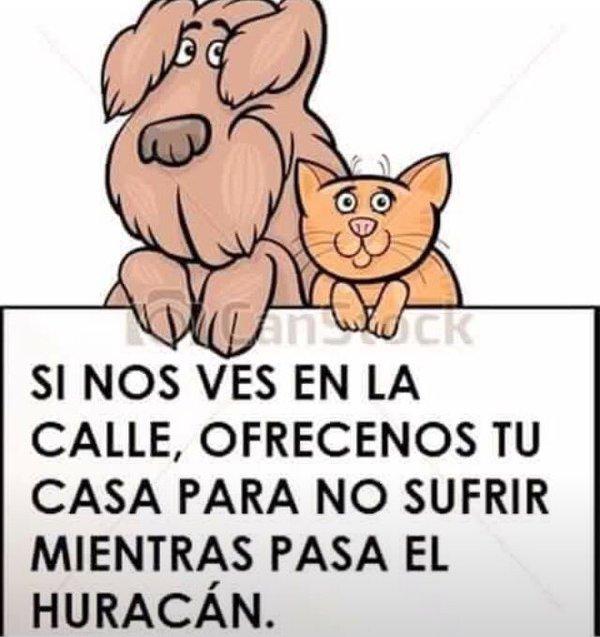 Mairany_298MB's tweet photo. #EllosTambienNosNecesitan Ayuda A Todos Los Animales. Ellos Tambien Merecen Vivir. #HurricanePatricia https://t.co/0lcWdckDrT