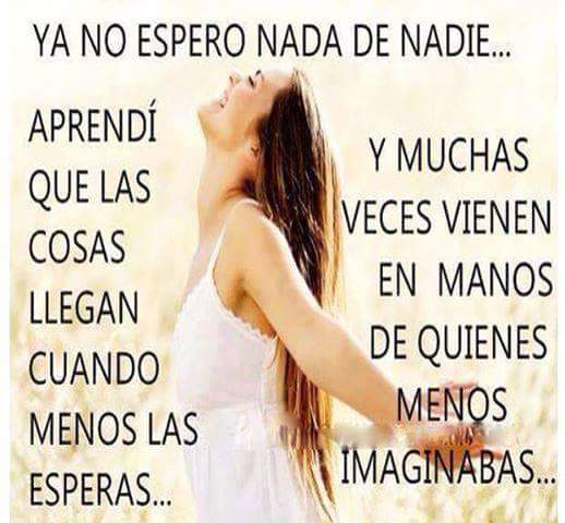 chiqui  T.R.E.P.H. tweet media