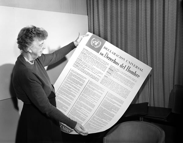 Eingebetteter Bild-Link