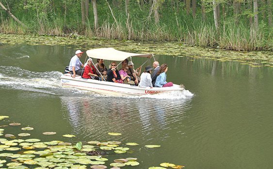 Nükleer için adı geçen İğneada daha önce turizm kenti ilan edilmiş 

zaman.com/ekonomi_nuklee…