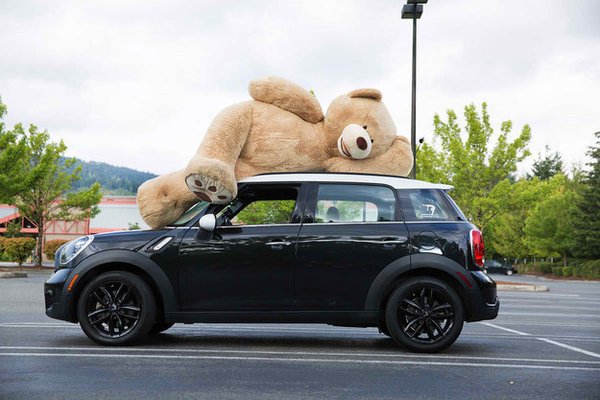 BuzzFeed's tweet photo. We need to talk about this gigantic stuffed bear from Costco https://t.co/H8mORlDDTW https://t.co/bUSmDZ2mkc