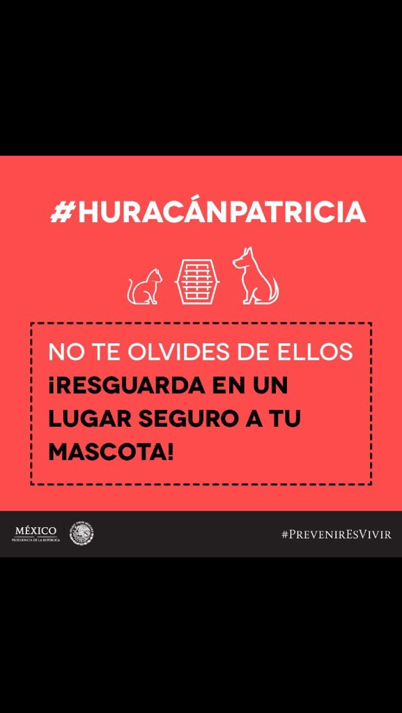 YuyafansFans's tweet photo. RECUERDA QUE EL HURACÁN ES PELIGRO PARA TODOS HASTA LOS ANIMALES 🐾  tengan en cuenta esto GUAPURAS ! 👇🏼 https://t.co/SEafjGrDgp