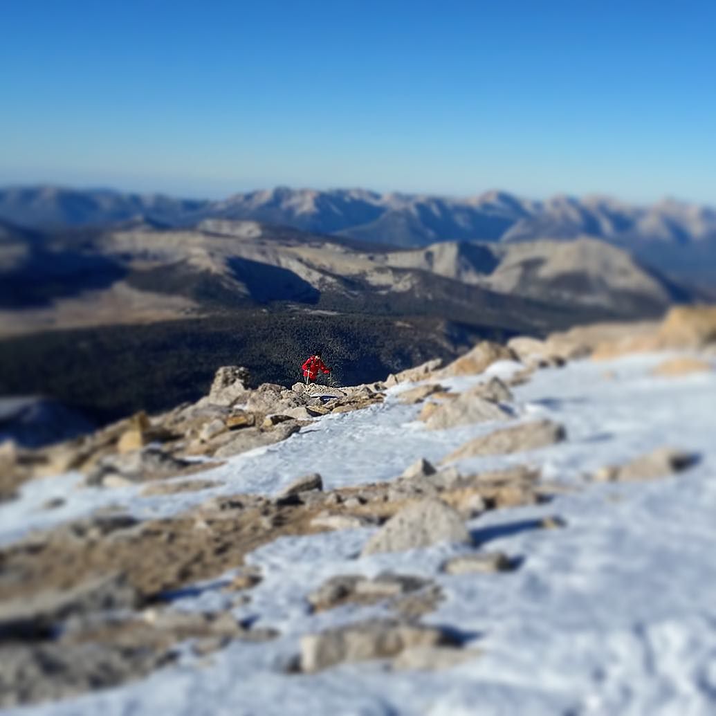 ColoradoHikes's tweet photo. PC: foreveroutside OVER THR TOP. 🗻 Coming to a close on the slog that is #MtLangley this co… https://t.co/NWlgi3Ubl1 https://t.co/k5PSYVAl3v