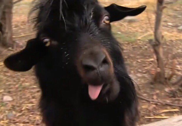 Watch theobanoth's leaked NSFW photo on TwXstars