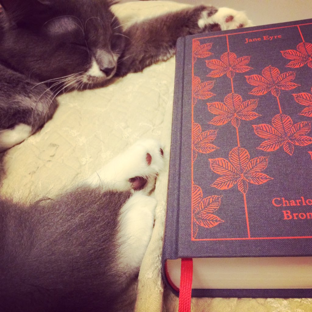 Arielplus3's tweet image. What a lovely evening ahead😊