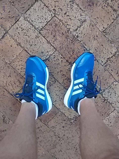 FishHoekparkrun tweet picture