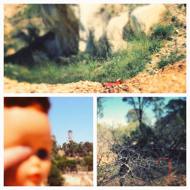 TashEmJay's tweet photo. Went out in bright Central Victorian sunshine today to explore an abandoned gold mine &amp; found my #ENG2GOT mojo https://t.co/JiYvxyrxRn