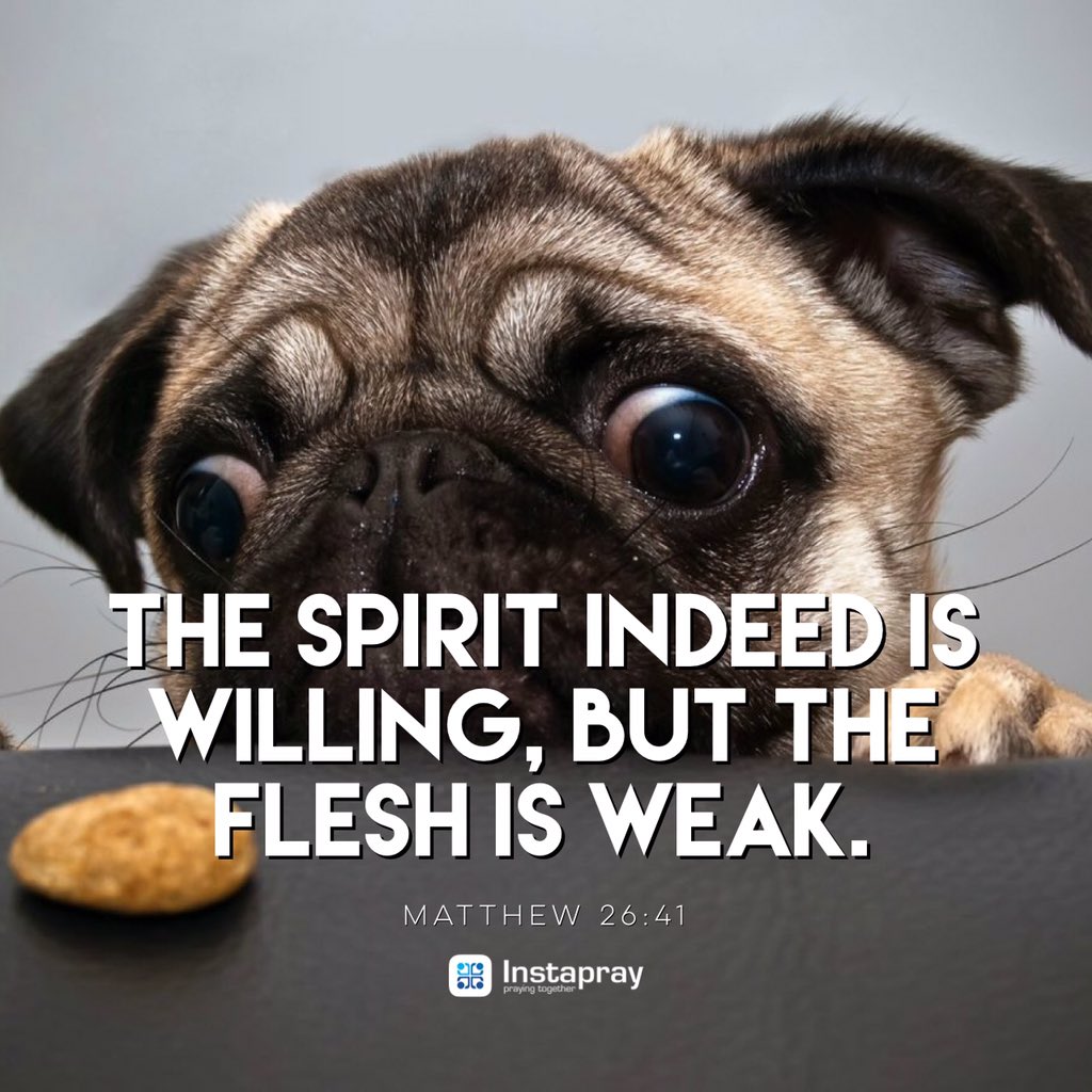 PrayyWithMe (@prayywithme) on Twitter photo 