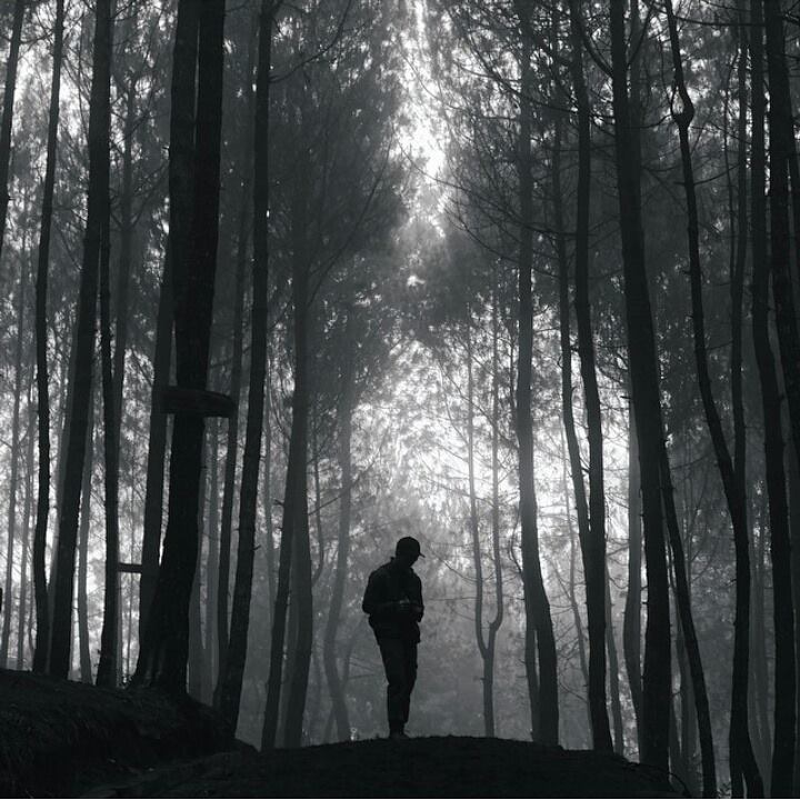 hey! yaser tweet media