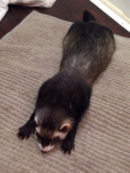 社長、株主、先生、専務 