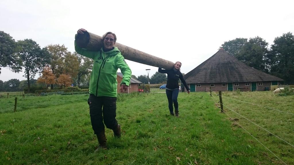 Survivalrun Vollenhove tweet media