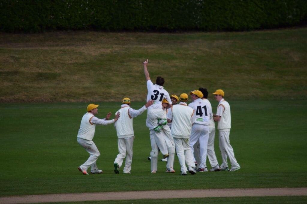 Cricket Tasmania tweet media