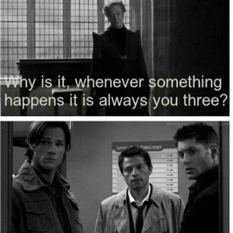 Why if something happens it's always you three. Why is it when something happens it is always you three. It always happens. Why is it, when something happens, it is always two you ?. 500 days of summer bench meme.