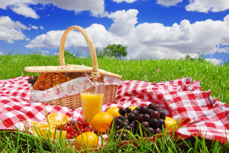 JonSaimon's tweet image. Капелька лета в хмурую осень) Приятных выходных друзья)!!!