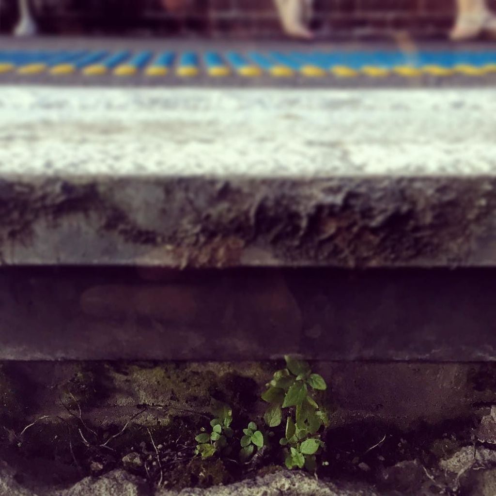 palmstroke's tweet image. levels #trains #trainplatform #trainstation #redfernstation #redfern #sydney