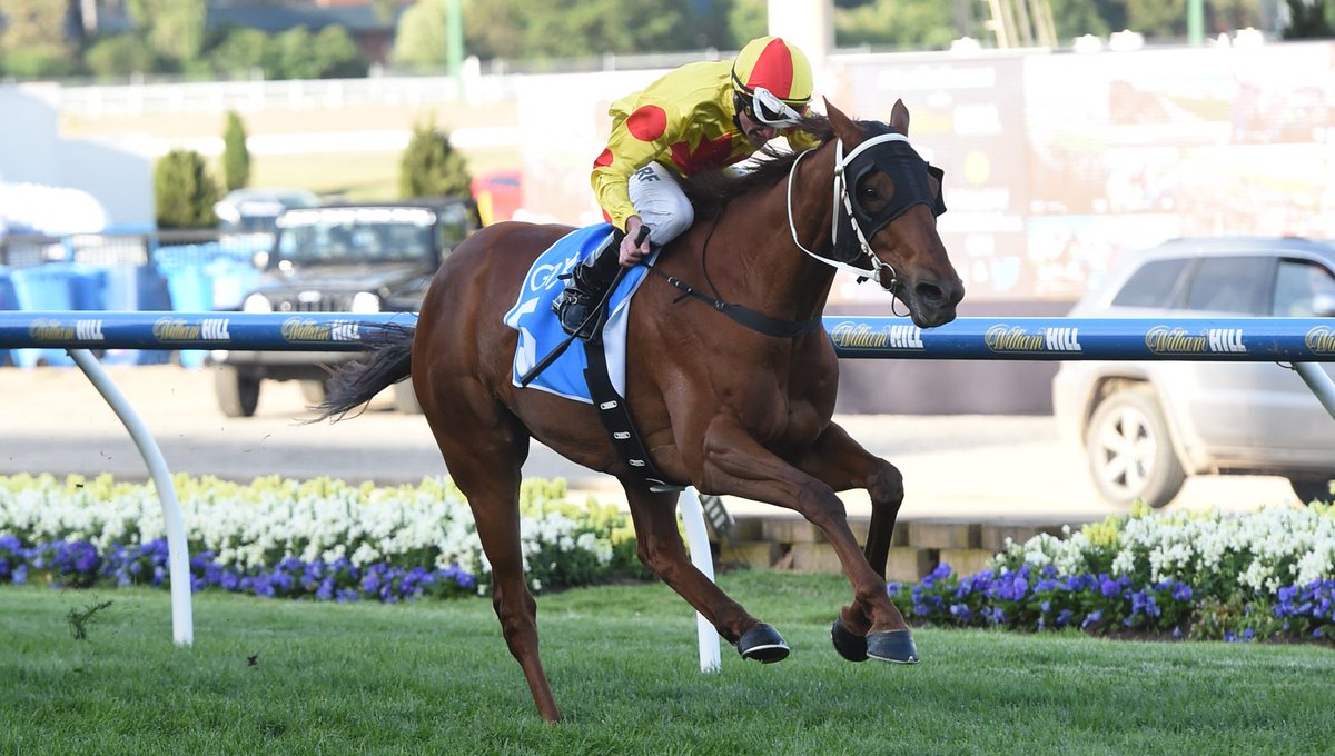 TheValley's tweet photo. Congratulations @BScott_Racing on taking out the last race of the @CoxPlate Carnival thanks to @G1X_RACING. https://t.co/iMB32r0TUy