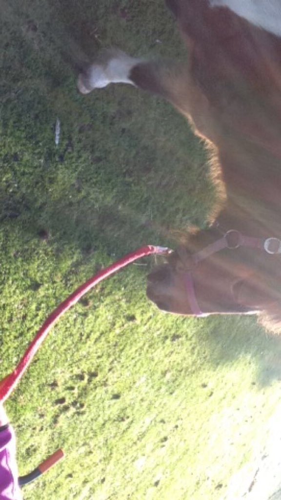 maja_ha1's tweet photo. Mein Bby 😍 https://t.co/jQqBtXeOC9