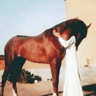 mlak5022's tweet photo. لبك ياميرالتي يا خيالي فديتك _صوره الي خيلي ميرالتي _ https://t.co/BP2vJB5fLa