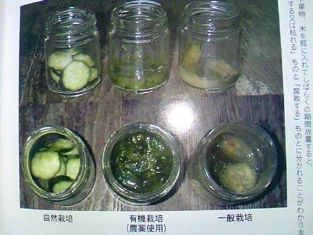 Cheesaka On Twitter 私はなるべく腐る野菜ではなく枯れる野菜を食べています 腐るものを食べれば 身体も腐る 腫瘍 癌など 種なしを食べれば 種なしに 不妊 だそうです 身体は食べたものでできていますから Https T Co Uzzb9fk1jp