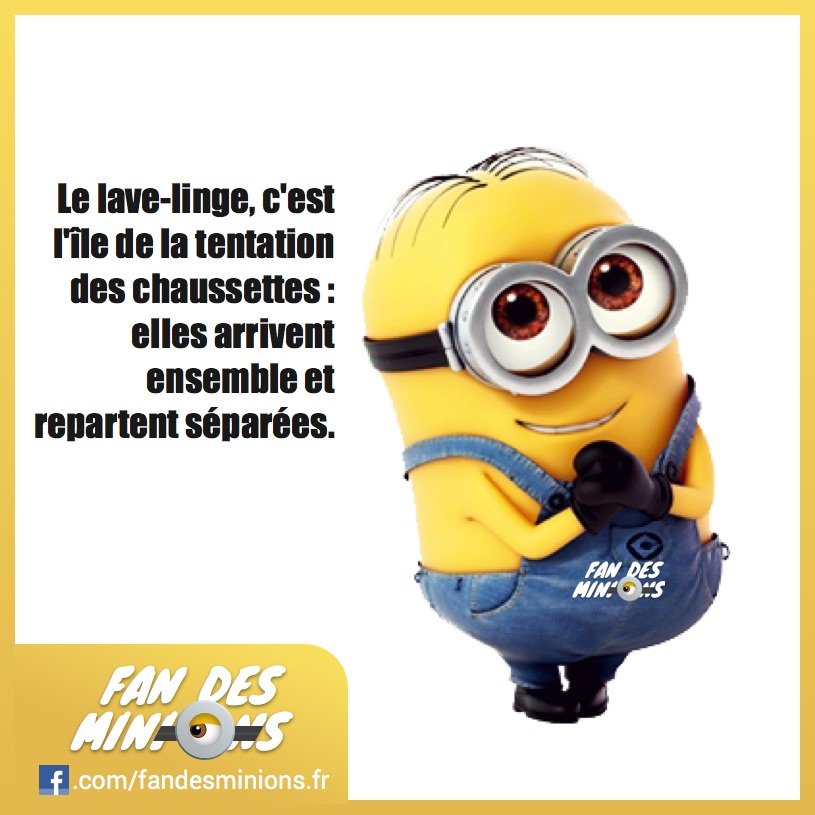 Fan_des_minions's tweet photo. Le lave-linge, c’est l’île de la tentation des chaussettes : elles arrivent ensemble et re… https://t.co/8znMSp7qf9 https://t.co/csViXKXd4C