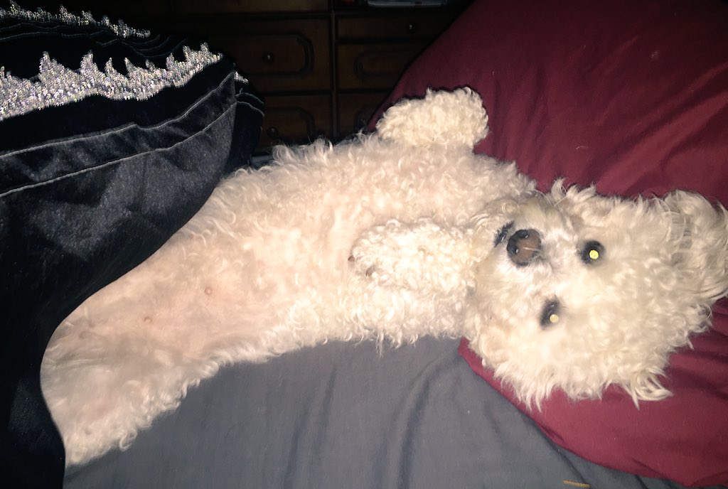 MissEstall's tweet photo. Ahhhh we love Saturday. #GoodMorning https://t.co/ZygqlimJ6a