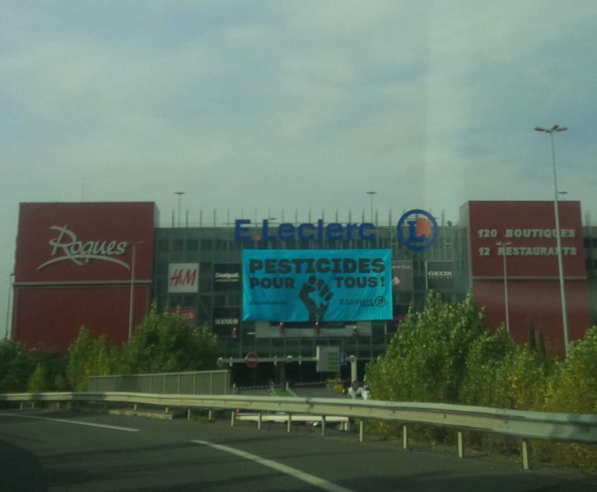 Ce matin, action coup de poing des écolos au Leclerc de Roques. Bâche  placée en rappel sur l'immonde écran géant.