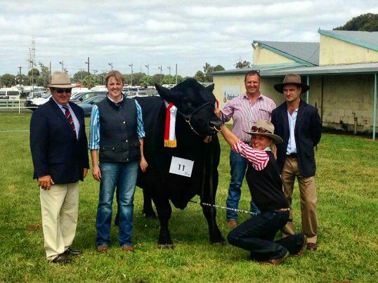 lanark_angus's tweet photo. Great day at Mount Gambier show yesterday,  winning Grand champion all breeds bull with Lanark Equator H4 https://t.co/zoNrYOCvcQ