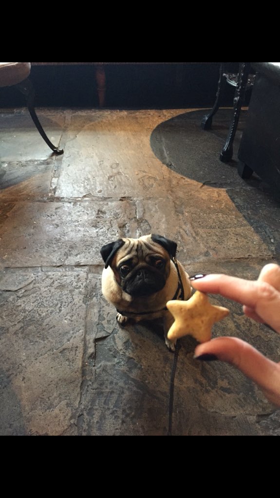 Harry_Hough's tweet photo. @TheMarchHareVI Thank you for my treats they are lovely 👍🏻 https://t.co/ZUIVEf7tjX