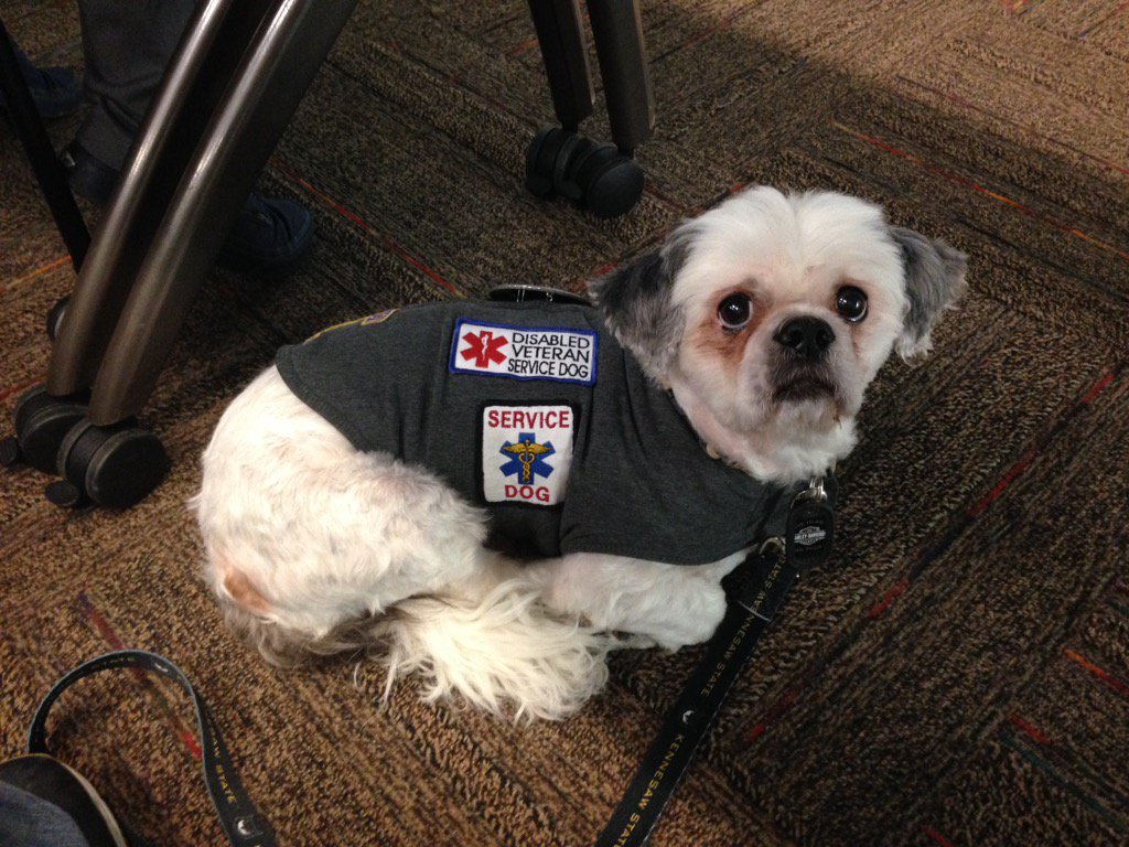 USAPurpleHeart's tweet photo. Roscoe at #OwlLead15 https://t.co/ZrOe0LYBJ1