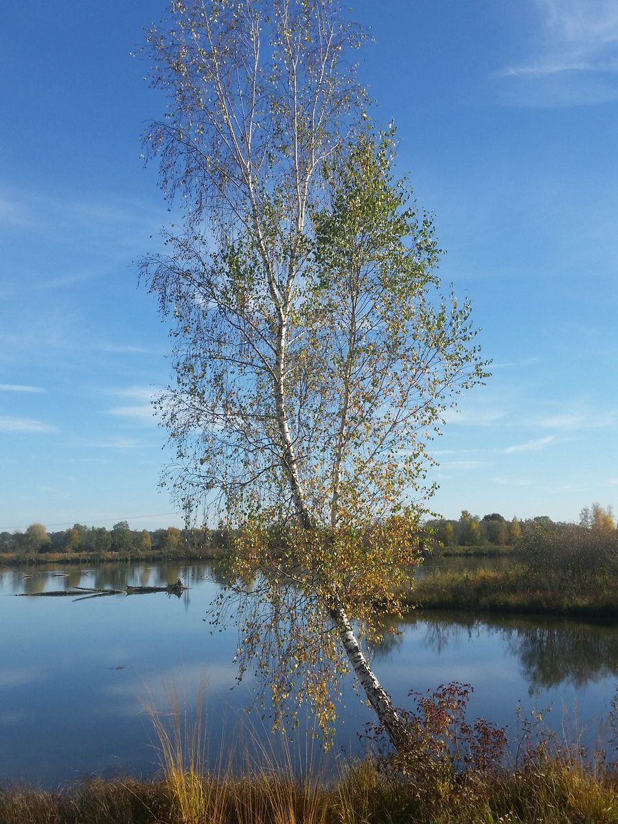 RevengeGermany's tweet photo. Enjoyed my day at the lake. #SunnyFall Have a wonderful weekend! 😙 @ChristineErhar1 @JillOhanneson @Bouganville2013 https://t.co/tsv3R1oUR8